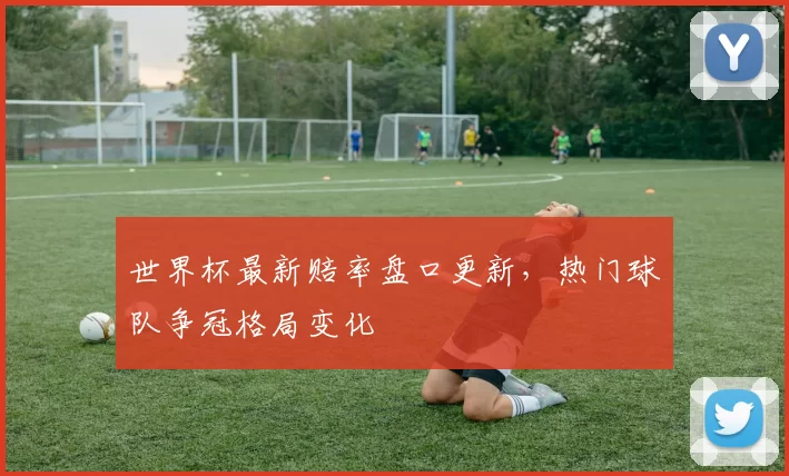 世界杯最新赔率盘口更新,热门球队争冠格局变化