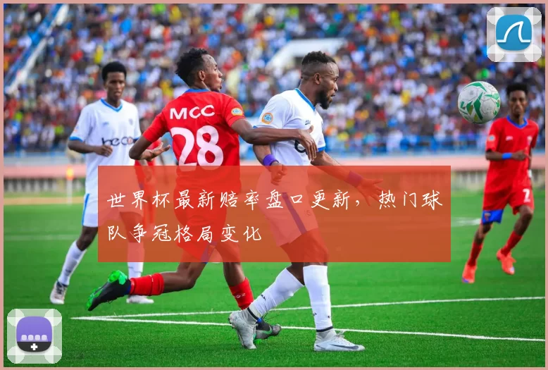 世界杯最新赔率盘口更新,热门球队争冠格局变化