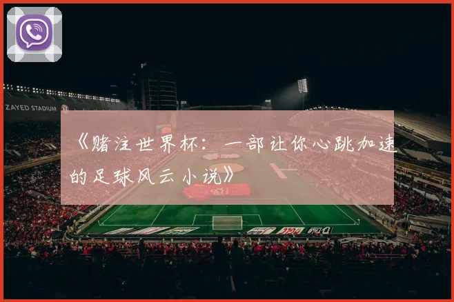 《赌注世界杯:一部让你心跳加速的足球风云小说》