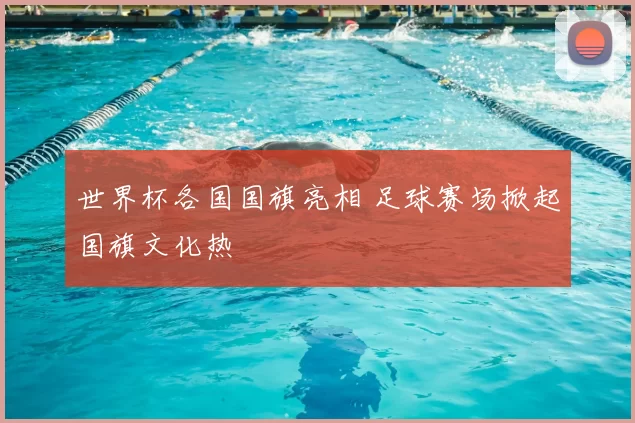 世界杯各国国旗亮相 足球赛场掀起国旗文化热