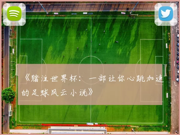 《赌注世界杯:一部让你心跳加速的足球风云小说》