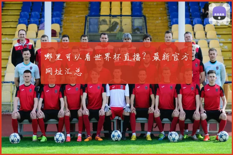 哪里可以看世界杯直播?最新官方网址汇总